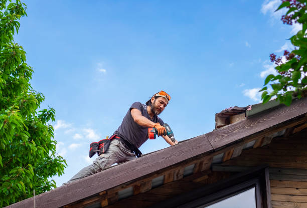 Best Metal Roofing Installation  in Maggie Valley, NC